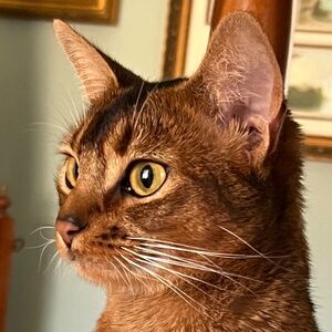 Meet your Posher, Heidi